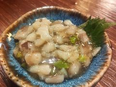 -鸟亭·居酒屋(青年路店)