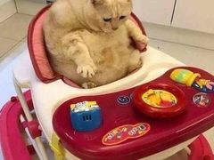 -陆壹捌餐厅(五大道店)