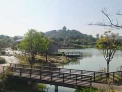 -王借岗森林公园