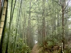 -公盂村