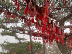 -罗田天堂寨风景区