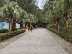 -宋井风景区