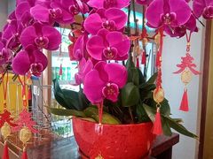 -全聚德烤鸭店(马家堡店)
