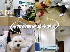 -美联众合动物医院·24h转诊中心