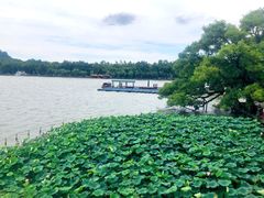 -湖畔居茶楼(湖滨店)