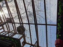 -丽江庭院·云南野生菌·海鲜火锅(鼓楼四合院店)