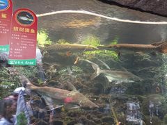 -古龙峡云天玻霸