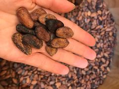 -歌斐颂巧克力小镇