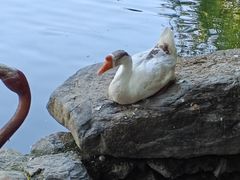 -天毓山庄·餐厅