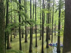 -青山湖景区