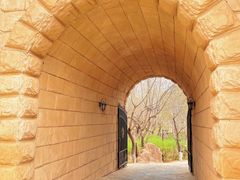 -北京张裕爱斐堡酒庄