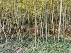 -苏州环秀晓筑养生度假村
