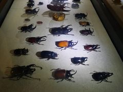 -燕莎友谊商城(亮马桥店)