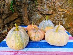 -南昆山川龙瀑布