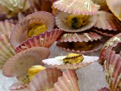 -济南香格里拉·咖啡泉自助餐厅