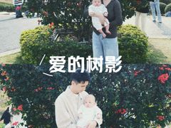 -东莞植物园