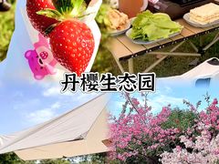 -丹樱生态园