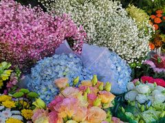 -爱尚幸福鲜花(上地实体店)