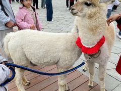 -祥源·阜阳生态乐园