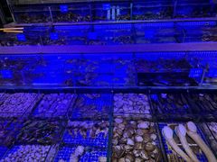 -青蓬蒸汽海鲜·深圳老字号·团建聚会(壹方城店)