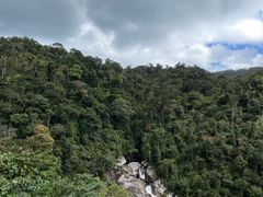 -海南热带雨林国家公园吊罗山景区