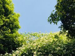 -吴越荣记苏州菜·松鼠桂鱼100%活鱼现做(斜塘老街店)