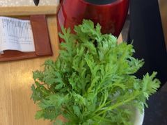 -大熊猫毛肚火锅(烟台万象汇店)