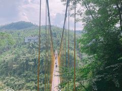 -川西竹海景区