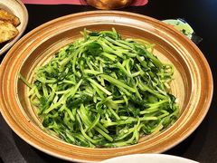 -纯阳•六两酒馆