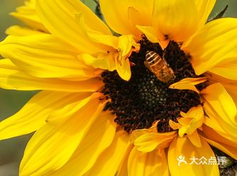 值得大家出去看下… 赏花，拍鸟… 钓鱼，抓蝴蝶…