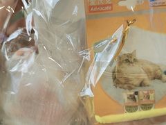 -关爱宠物医院·猫科中心·消化科(滨湖万达分院)