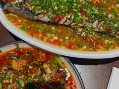 -飞虹鱼馆(春华路店)