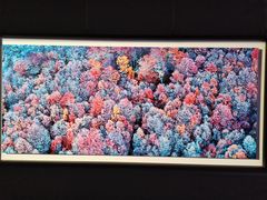 -罗红摄影艺术馆