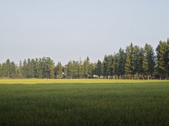 -广富林郊野公园