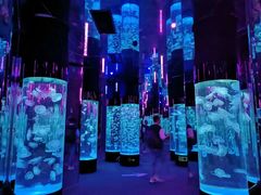 -成都浩海立方海洋公园