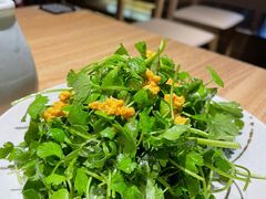 三叶香拌海胆-胆食海胆水饺(总店)