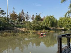 -新江湾城公园
