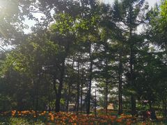 -长春市南湖公园