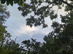 -阳台山森林公园