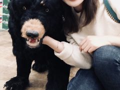 -傣家黑山羊汤锅(告庄店)