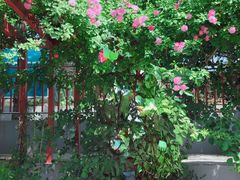 -元大都城垣遗址公园