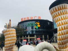 -大鹏佳兆业广场