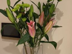 -花辰月夕花坊(北滨路店)