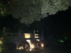 -十八棵（老龙井）御茶园(老龙井店)