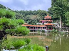 -深圳仙湖植物园