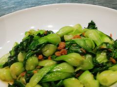 海米油菜心-四季厨房 鲁菜·孔府烤鸭(高新万达店)