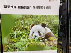 -西安电影制片厂