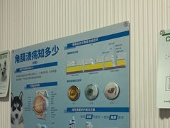 -守诺宠物医院·眼科· 特色牙科·异宠专科(虹口店)
