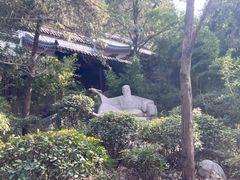 -云龙山