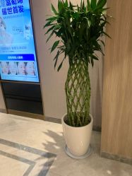 -云南吴氏嘉美医疗美容医院